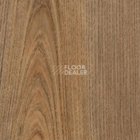Линолеум Forbo SureStep Wood 18382 chestnut фото 1 | FLOORDEALER